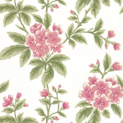 Обои для стен  Little Greene London Wallpapers III 0282GRPARLO 