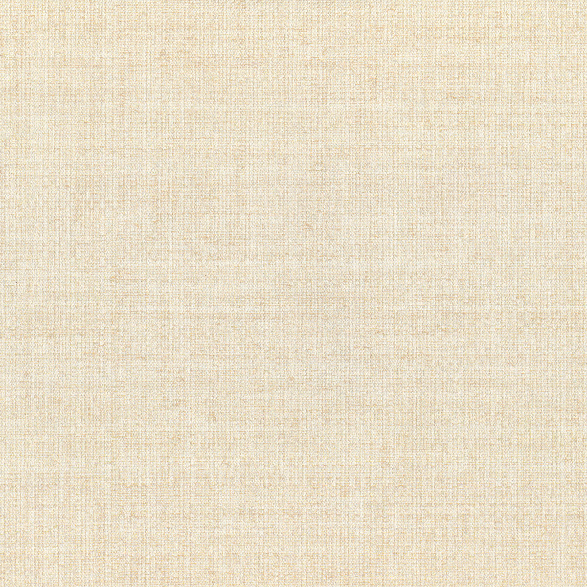 Метражные обои для стен  Lizzo Textures I ARAZZO-06 