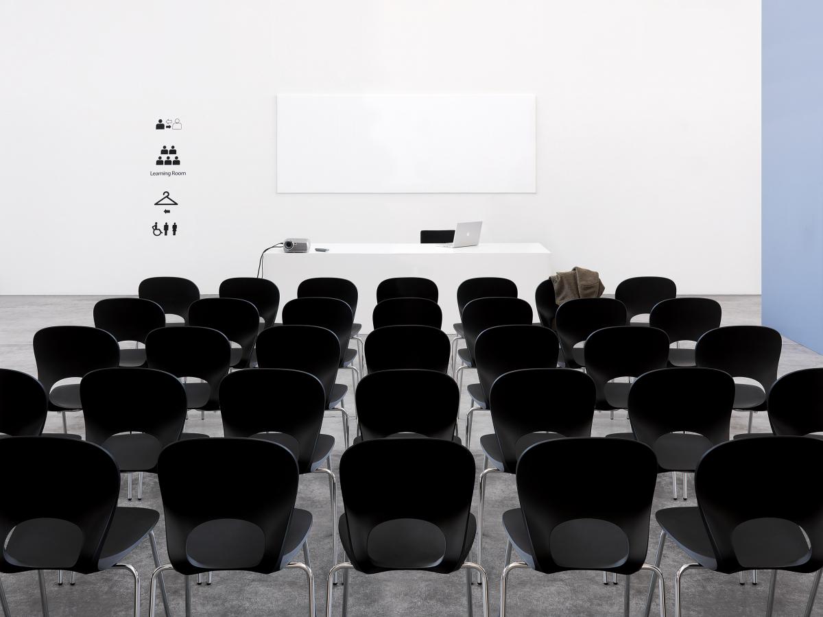 Стул    Pikaia  5