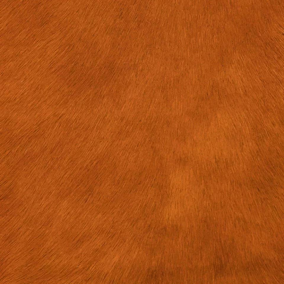   vitellina-pelo-orange-f 