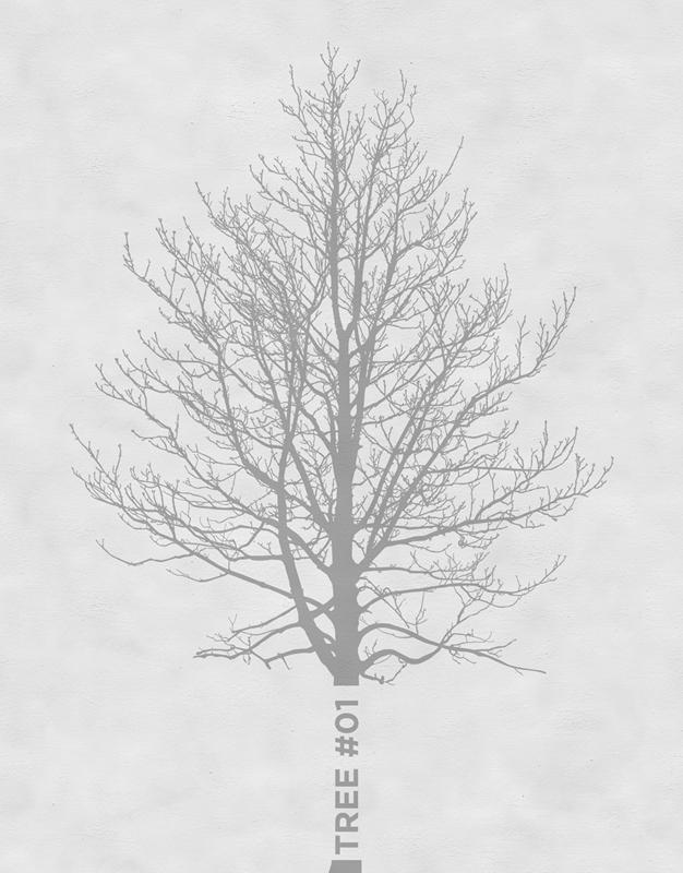 Обои для стен  Wall&Deco CODE 2013 OUT SYSTEM OUTO_TR1301_1 