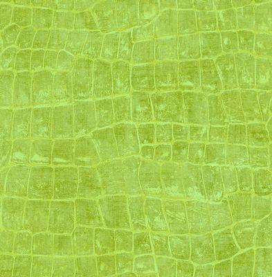 Обои для стен  Seabrook Tortuga TA20504 