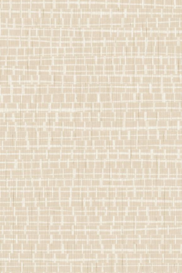 Метражные обои для стен  Arte Contract Madagascar 67790 