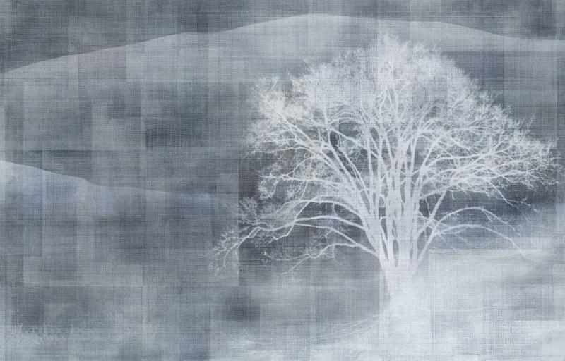 Обои для стен  Texam Id id902 