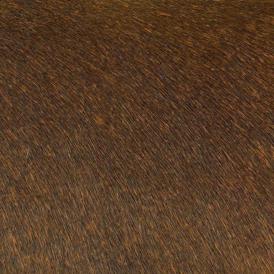   vitellina-pelo-cor-negr 