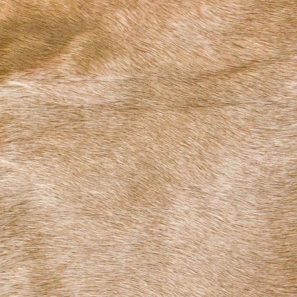   vitellina-pelo-pina-col 