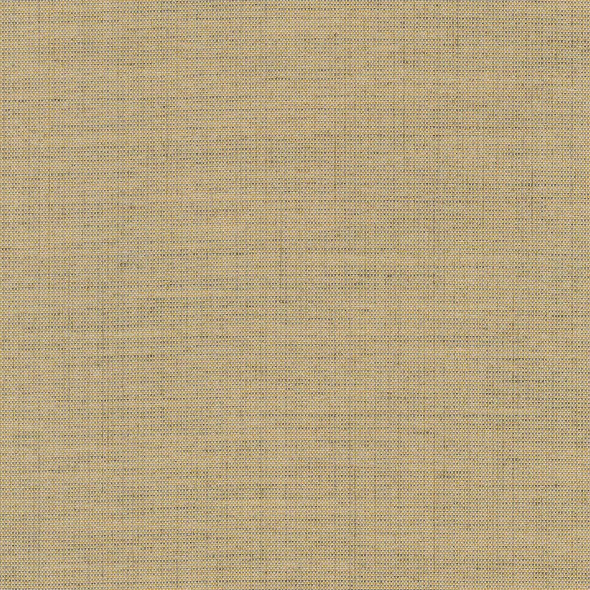 Ткань Kvadrat Floyd Screen 1280-0226  купить в Москве по выгодной цене|Интернет-магазин дизайнерских решений Decorwall