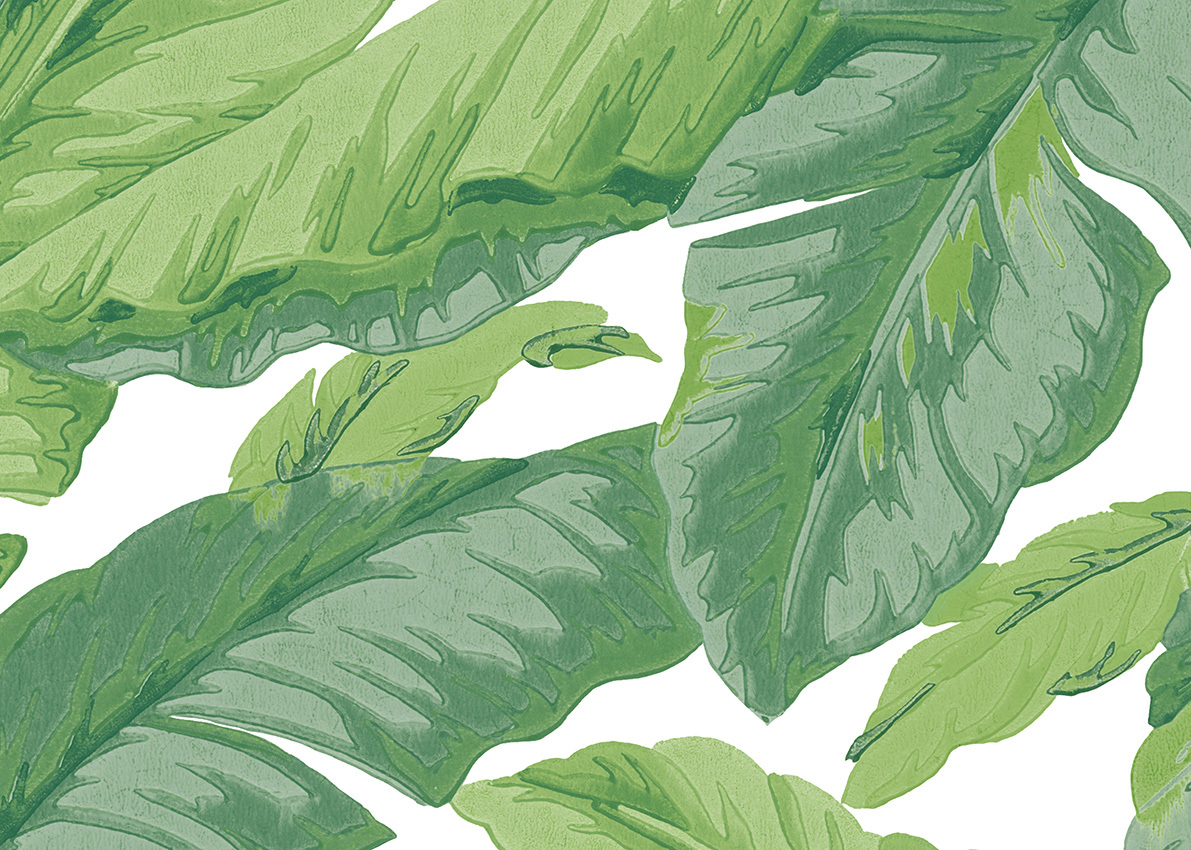 Обои для стен  Jannelli & Volpi JV505 Grande Corniche 7227 