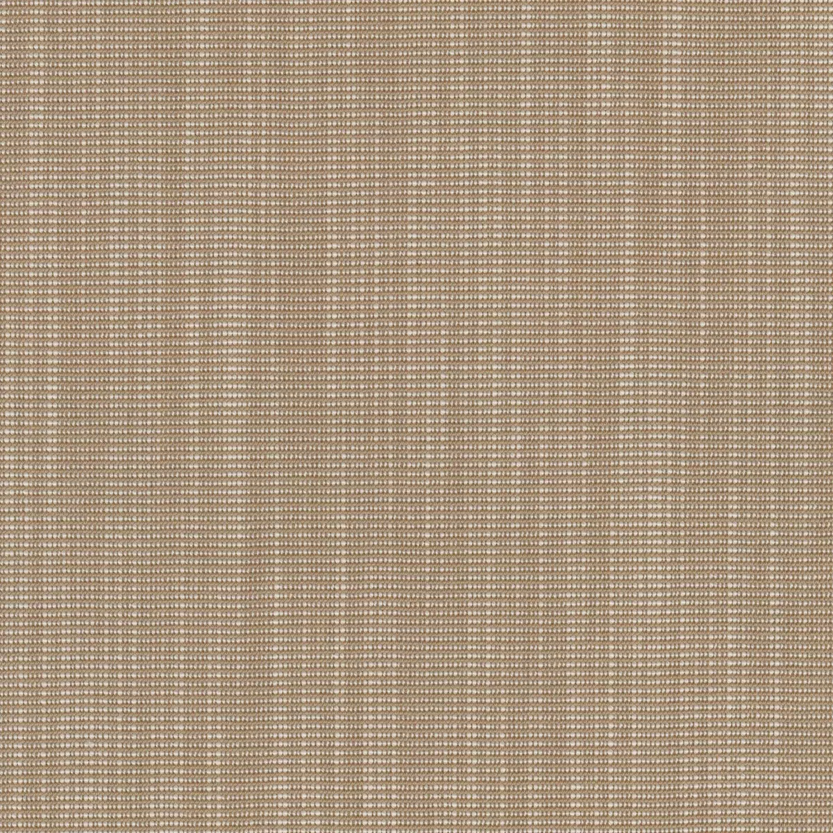 Ткань Kvadrat Raas by Doshi Levien 7913-0222  купить в Москве по выгодной цене|Интернет-магазин дизайнерских решений Decorwall