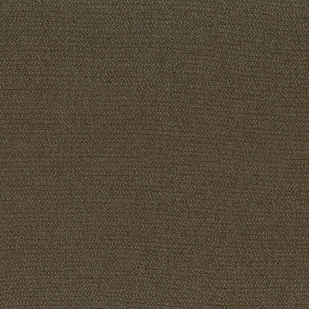 Ткань Rubelli Sharky 30703_11  купить в Москве по выгодной цене|Интернет-магазин дизайнерских решений Decorwall