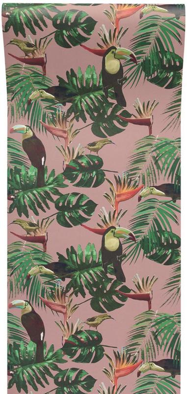 Обои для стен Graduate Collection Graduate Wallpapers toucan_wallpaper_pink 