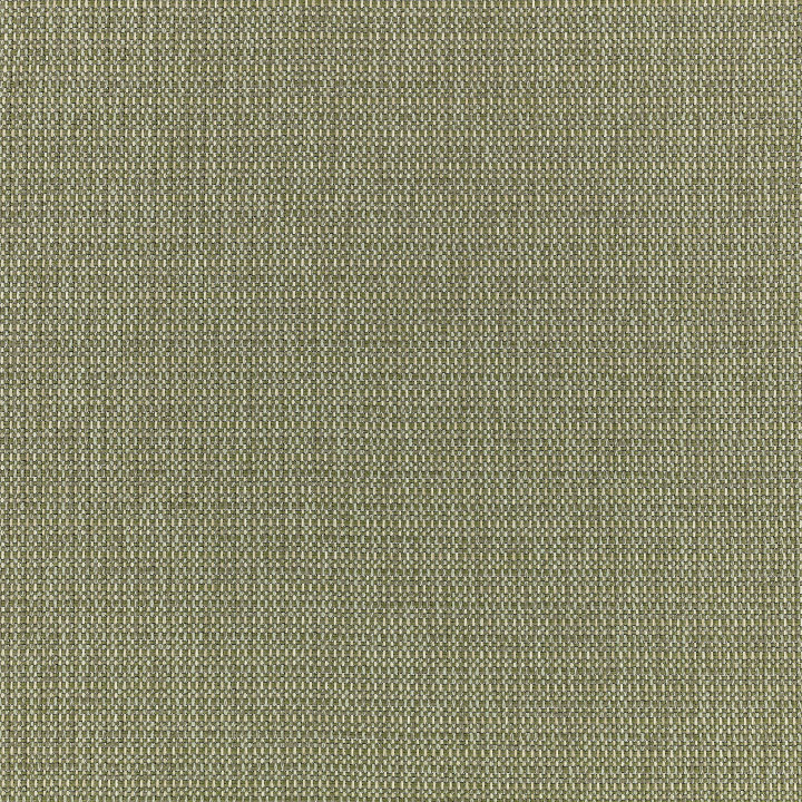 Ткань Kirkby design Clubhouse Outdoor K5379-08  купить в Москве по выгодной цене|Интернет-магазин дизайнерских решений Decorwall