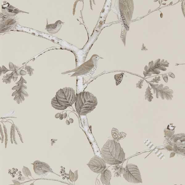 Обои для стен  Sanderson Country Woodland Wallcoverings DFAB215704 