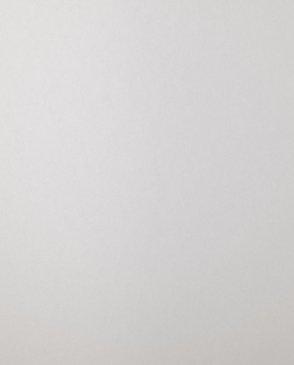 Обои для стен  Bernardo Bartalucci Coco Art 5103_1 