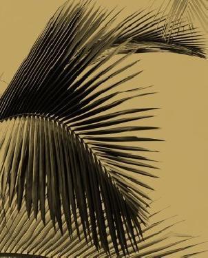 Обои для стен  Caselio Moonlight 101292098 