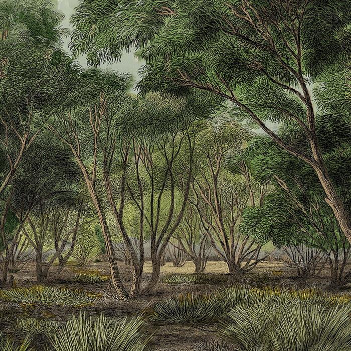 Обои для стен  Faboie Whispering In The Jungle F-WJ6002 