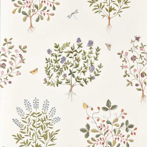 Обои для стен  Sanderson Highgrove Wallcoverings 217509 