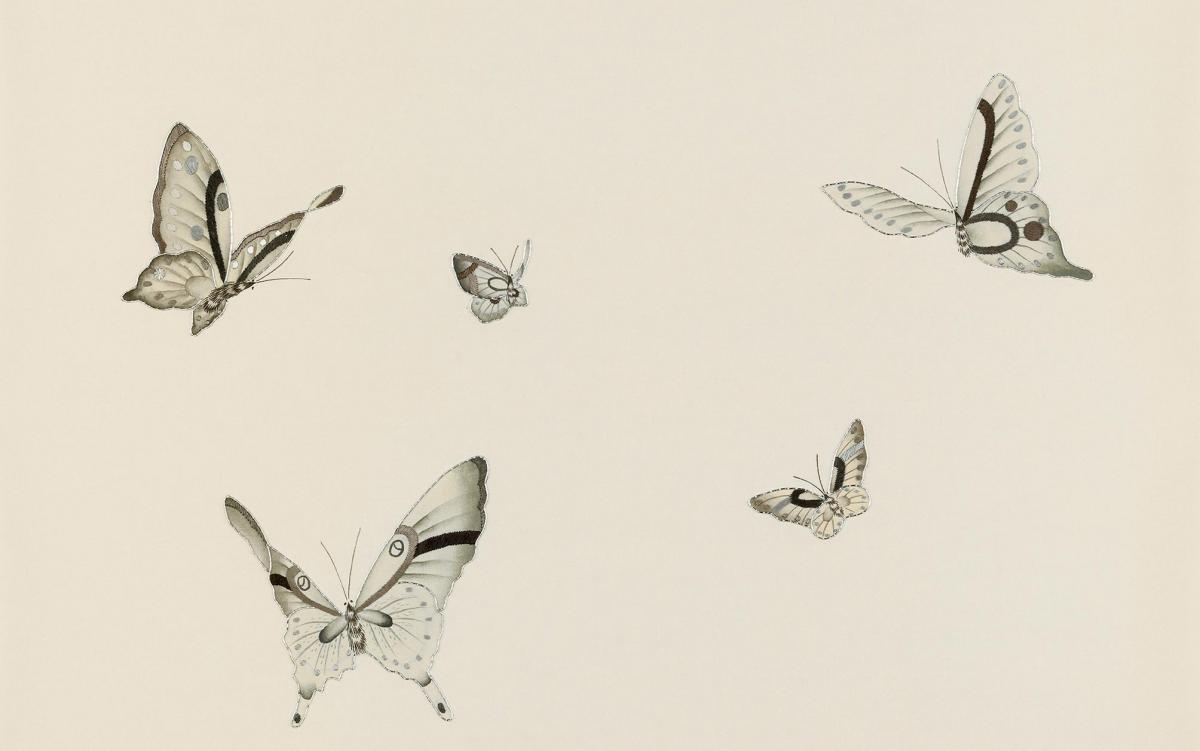 Обои для стен Fromental 20th century E001-butterflies-col-black-and-white-1 