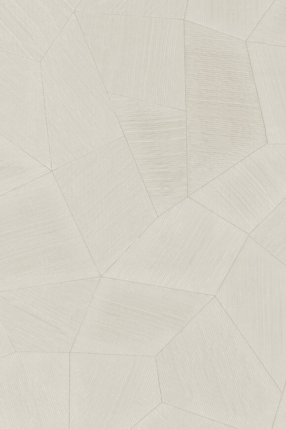 Метражные обои для стен  Arte Contract Aurora 67161 