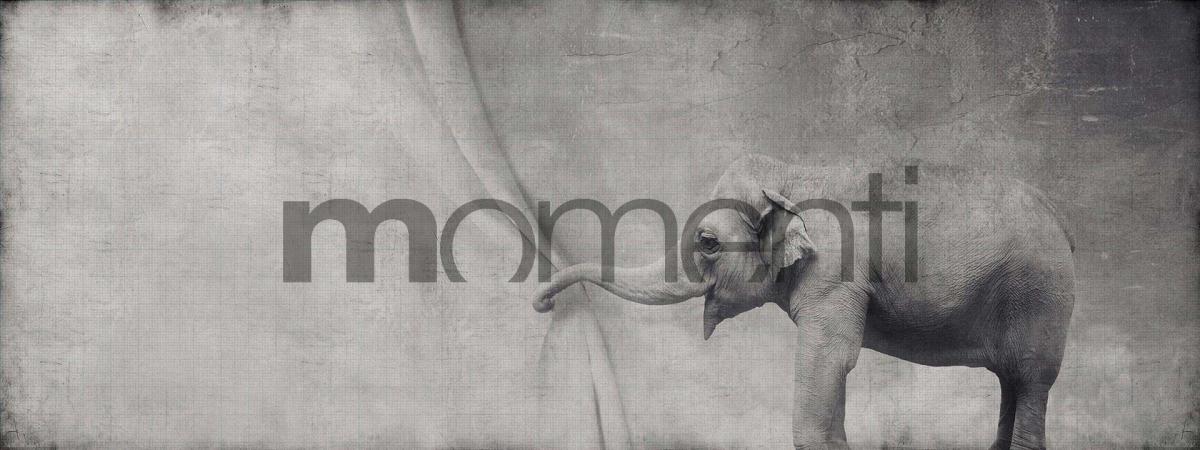 Обои для стен  Momenti Animal Collection A-15 Cod. 001 