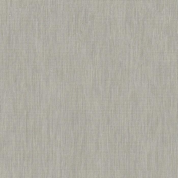 Обои для стен  Faboie Paladin BA-PL0605C 