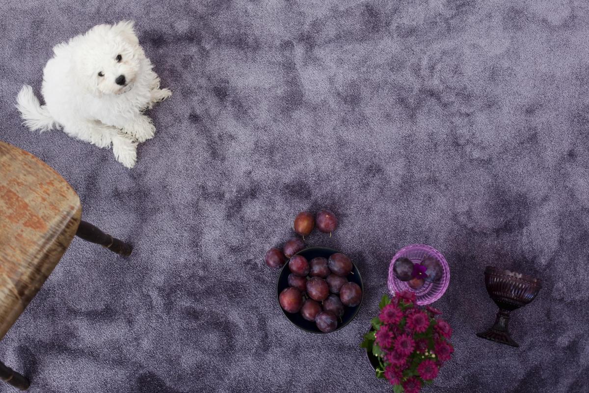 Ковер    Satine 001 lila_2 