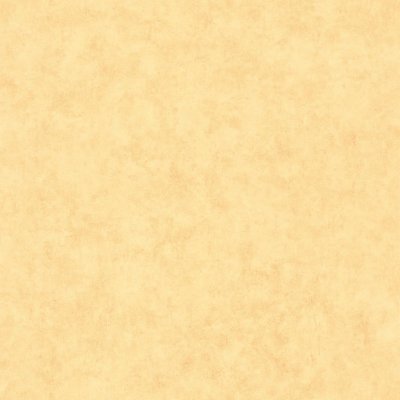 Обои для стен  Caselio Beton 2 101482200 