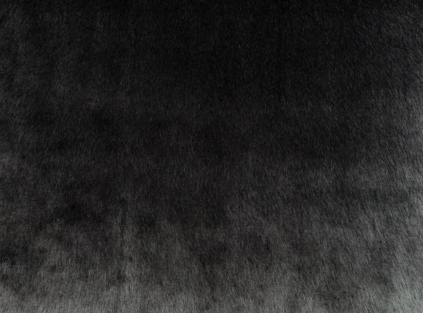 Ткань  Yeti Z738-01  купить в Москве по выгодной цене|Интернет-магазин дизайнерских решений Decorwall