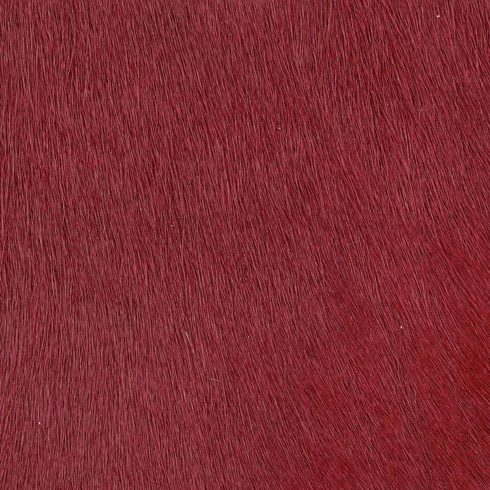   vitellina-pelo-cardinal 