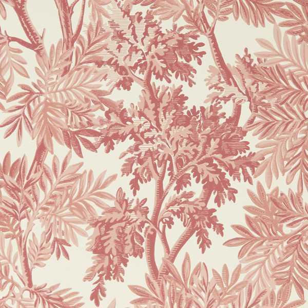 Обои для стен  Sanderson Country Woodland Wallcoverings 217415 