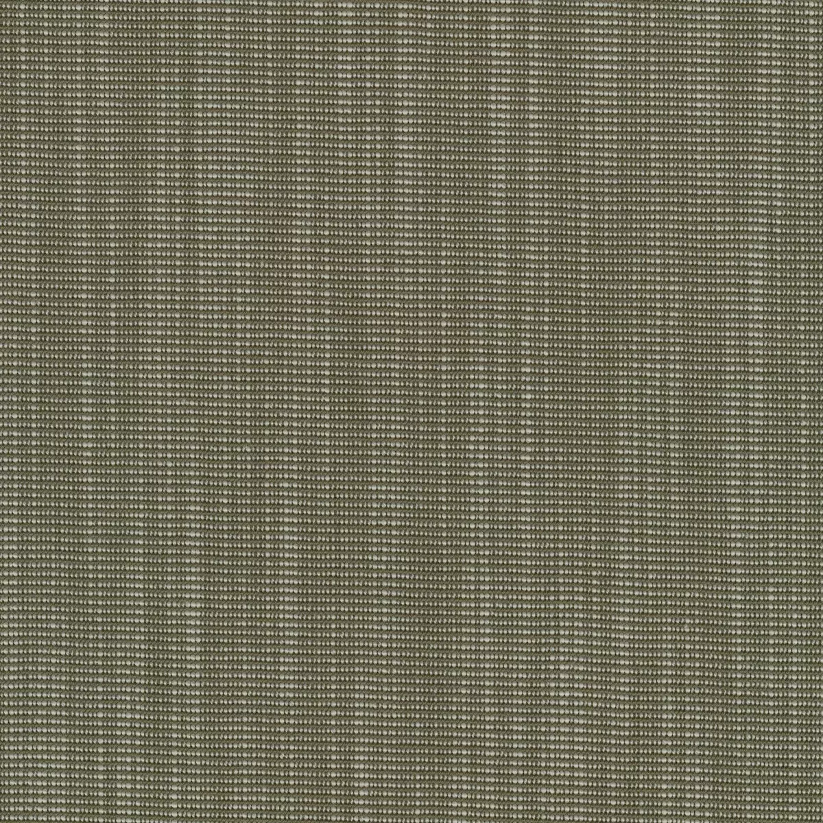 Ткань Kvadrat Raas by Doshi Levien 7913-0952  купить в Москве по выгодной цене|Интернет-магазин дизайнерских решений Decorwall