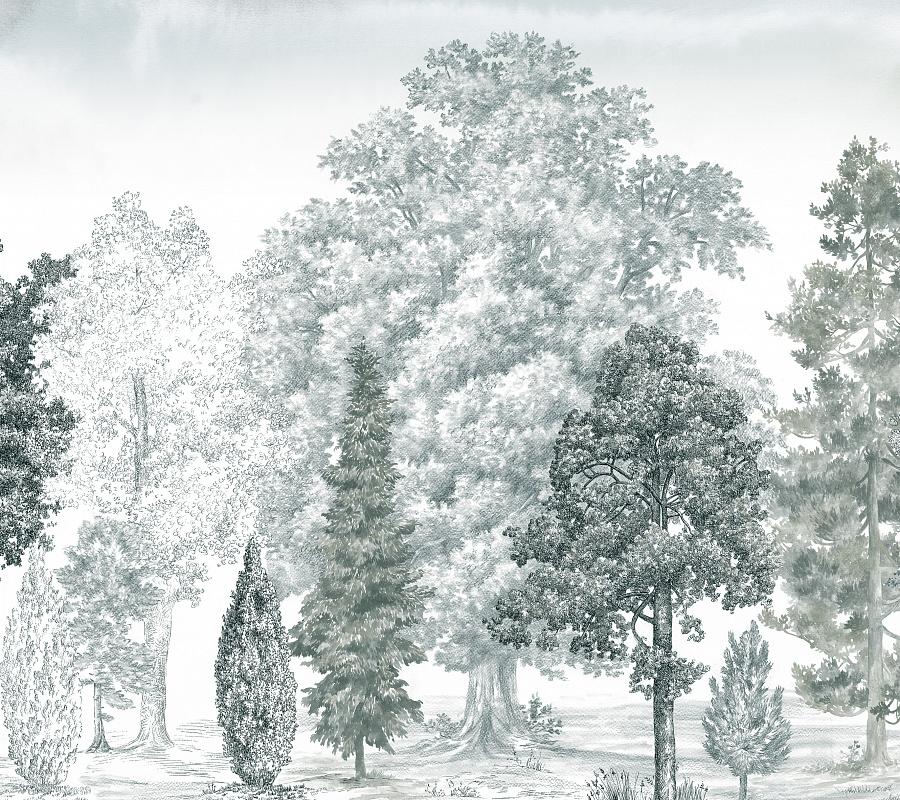 Обои для стен  Loymina Пейзаж 2 Балтийская коса ART14 011 