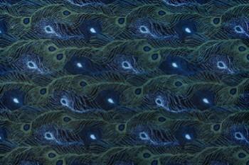 Ковер  Pinton  vignettes_paondenuit 