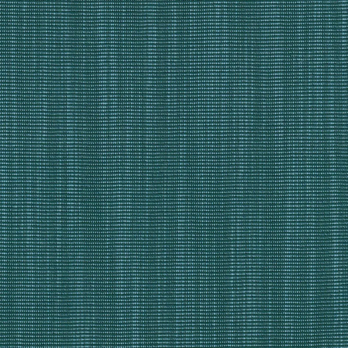 Ткань Kvadrat Raas by Doshi Levien 7913-0862  купить в Москве по выгодной цене|Интернет-магазин дизайнерских решений Decorwall