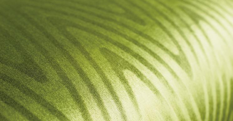 Ткань Kobe Palora Palora_1  купить в Караганде по выгодной цене|Интернет-магазин дизайнерских решений Decorwall