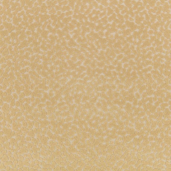 Ткань Kirkby design Graphic Nature K5328-03  купить в Москве по выгодной цене|Интернет-магазин дизайнерских решений Decorwall