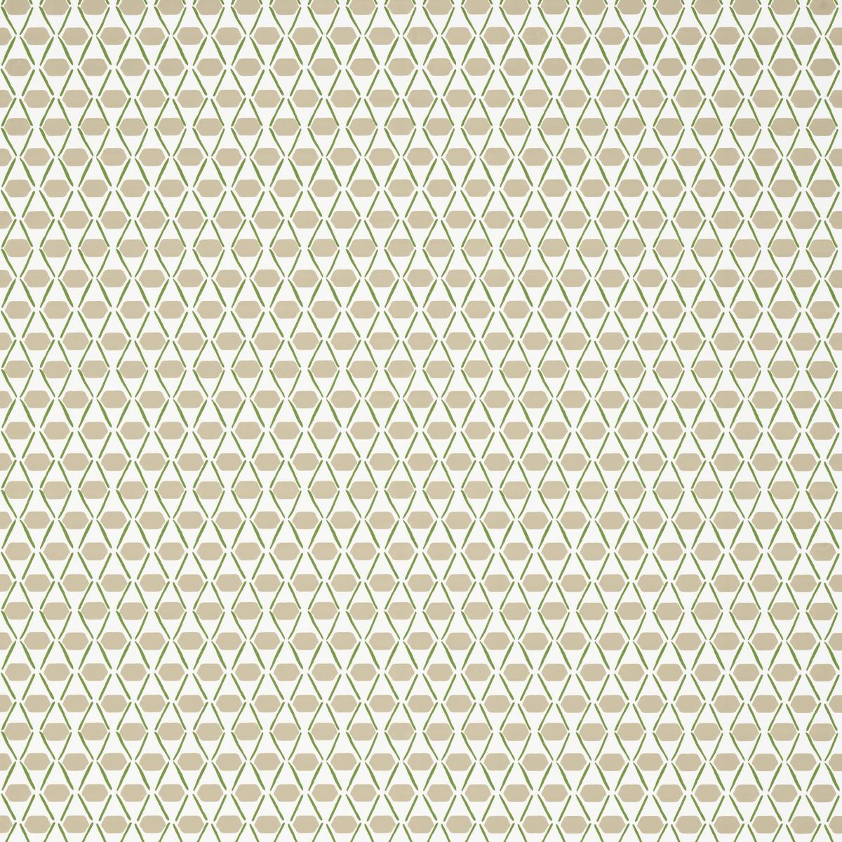 Обои для стен   Canopy T14329 