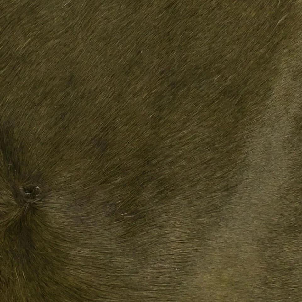   vitellina-pelo-muschio 