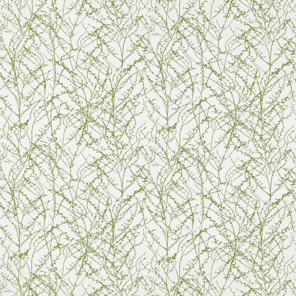 Ткань Harlequin Lilaea Fabrics 120624 