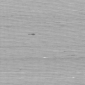 Обои для стен   Natural Silhouettes ns52004 