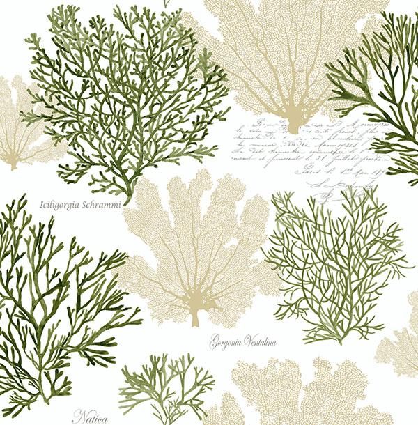 Обои для стен  Jaima Brown Charleseton Home jb51500 