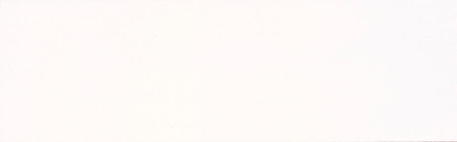  Жалюзи горизонтальные   WPS9SW50-FW 