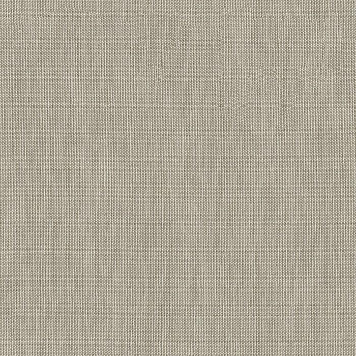 Обои для стен  Faboie Paladin BA-PL0606C 