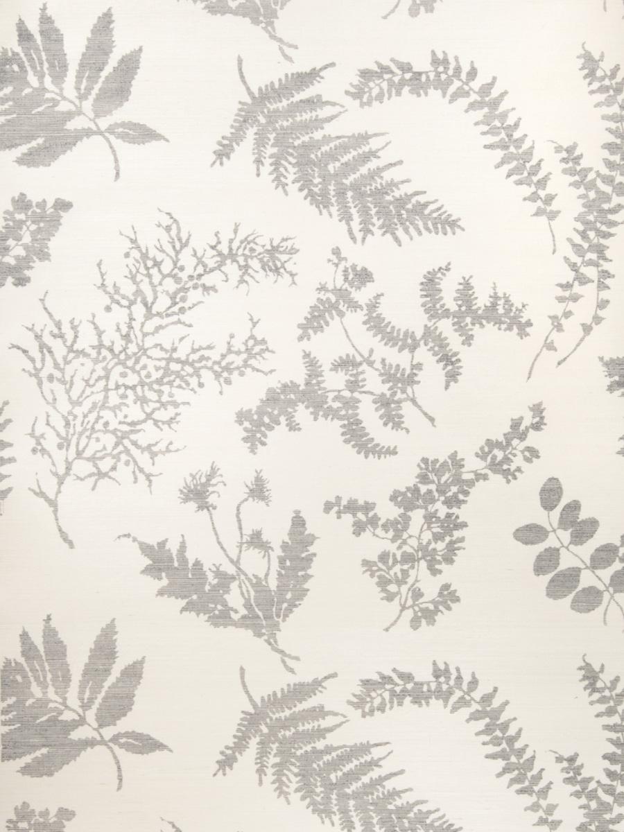 Обои для стен Stroheim Silhouettes Wallcovering Wildflowers Sisal - Gray On Oyster 