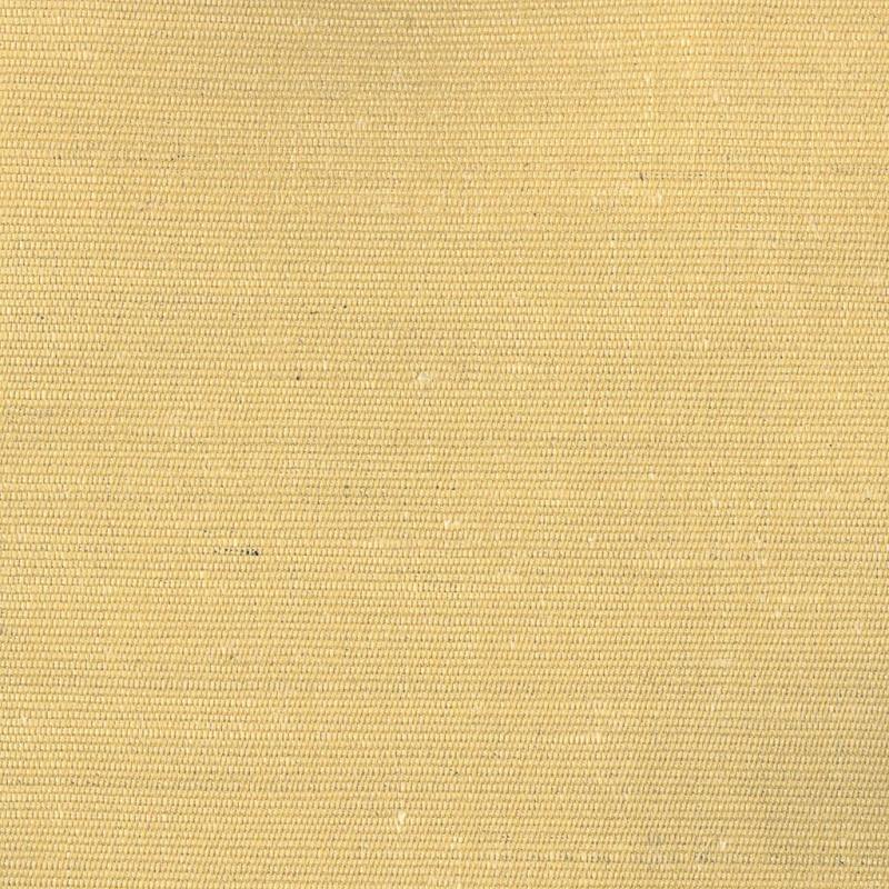 Ткань Rubelli Carlo 30086_38  купить в Москве по выгодной цене|Интернет-магазин дизайнерских решений Decorwall