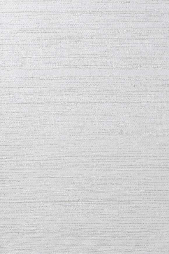 Метражные обои для стен  Arte Contract Silkx Raw 67498 