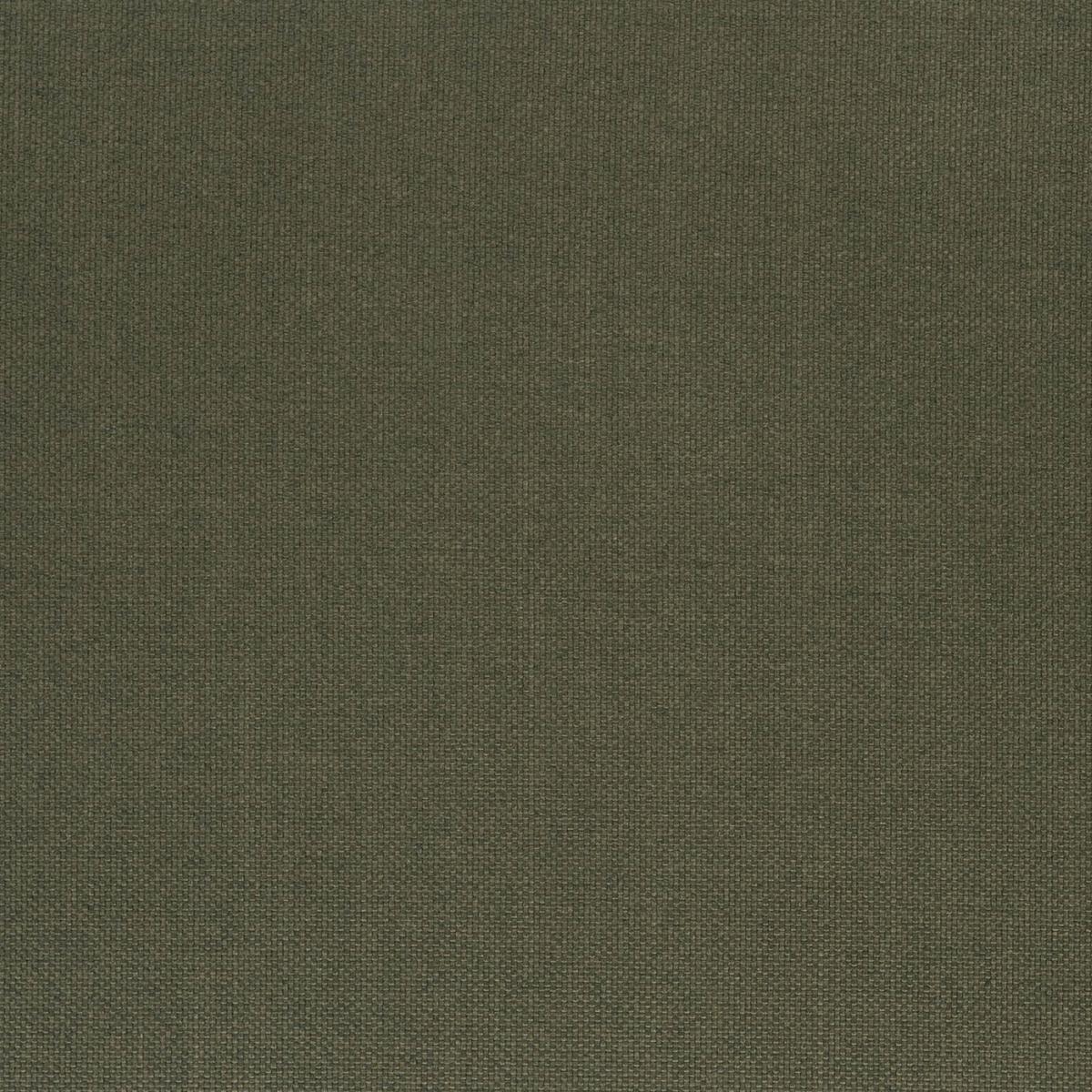 Ткань Designers Guild Cara FT1976/17  купить в Москве по выгодной цене|Интернет-магазин дизайнерских решений Decorwall