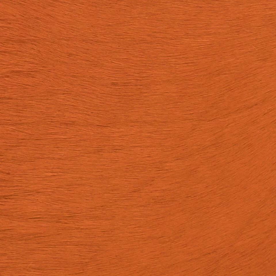   vitellina-pelo-aragosta 