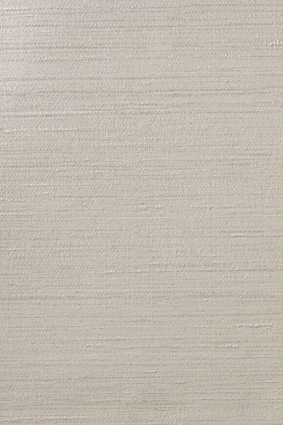 Метражные обои для стен  Arte Contract Silkx Raw 67499 