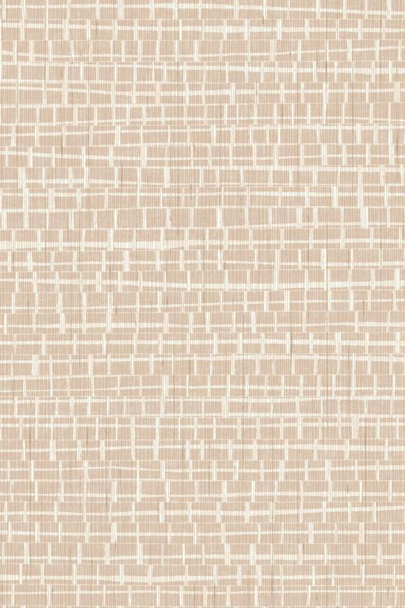 Метражные обои для стен  Arte Contract Madagascar 67794 